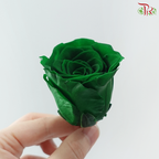 8 Blooms Preserved Roses - Dark Green