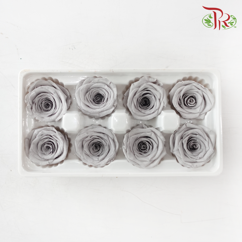 8 Blooms Preserved Roses - Light Grey