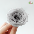 8 Blooms Preserved Roses - Light Grey