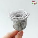 8 Blooms Preserved Roses - Light Grey