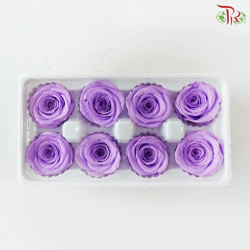 8 Blooms Preserved Roses - Medium Purple