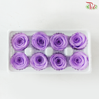 8 Blooms Preserved Roses - Medium Purple