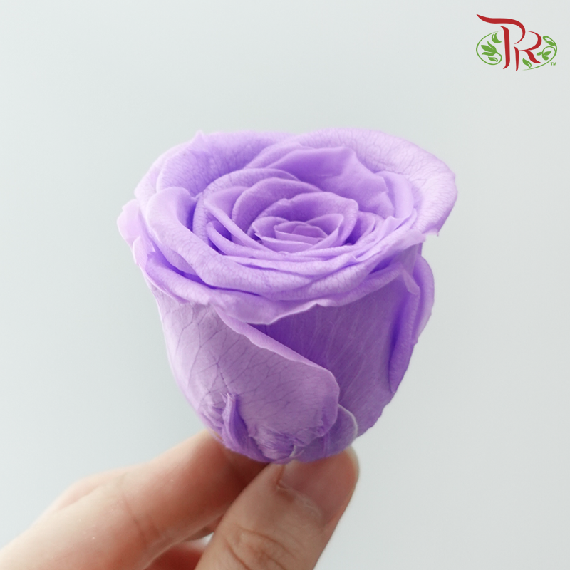 8 Blooms Preserved Roses - Medium Purple