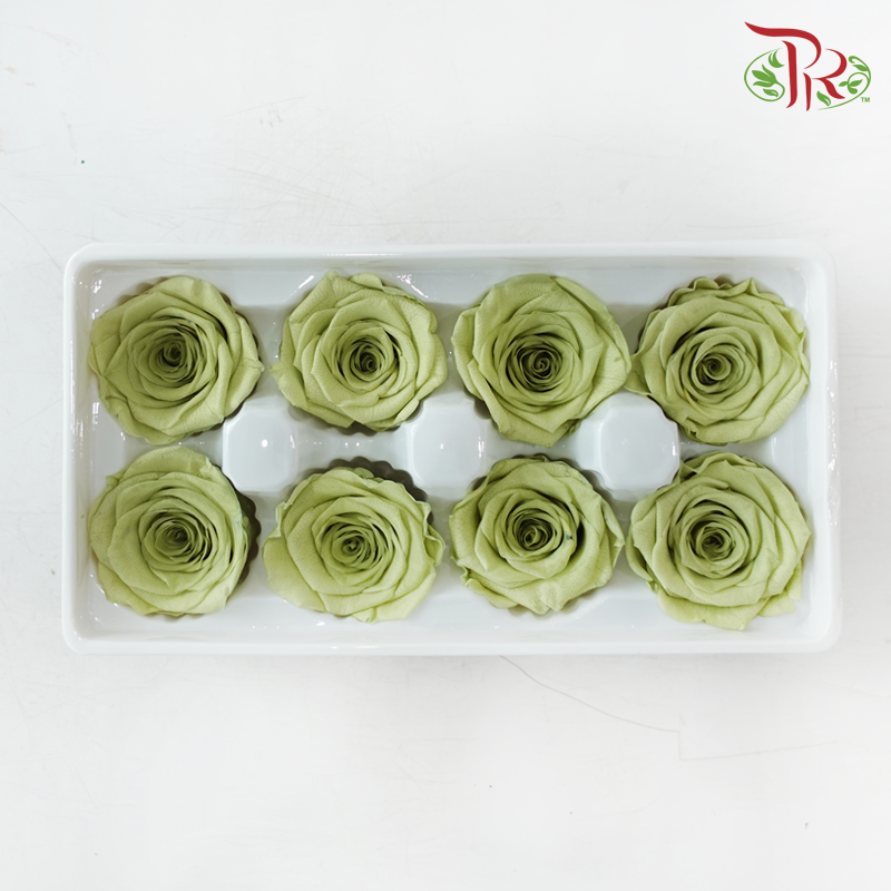 8 Blooms Preserved Roses - Light Olive Green
