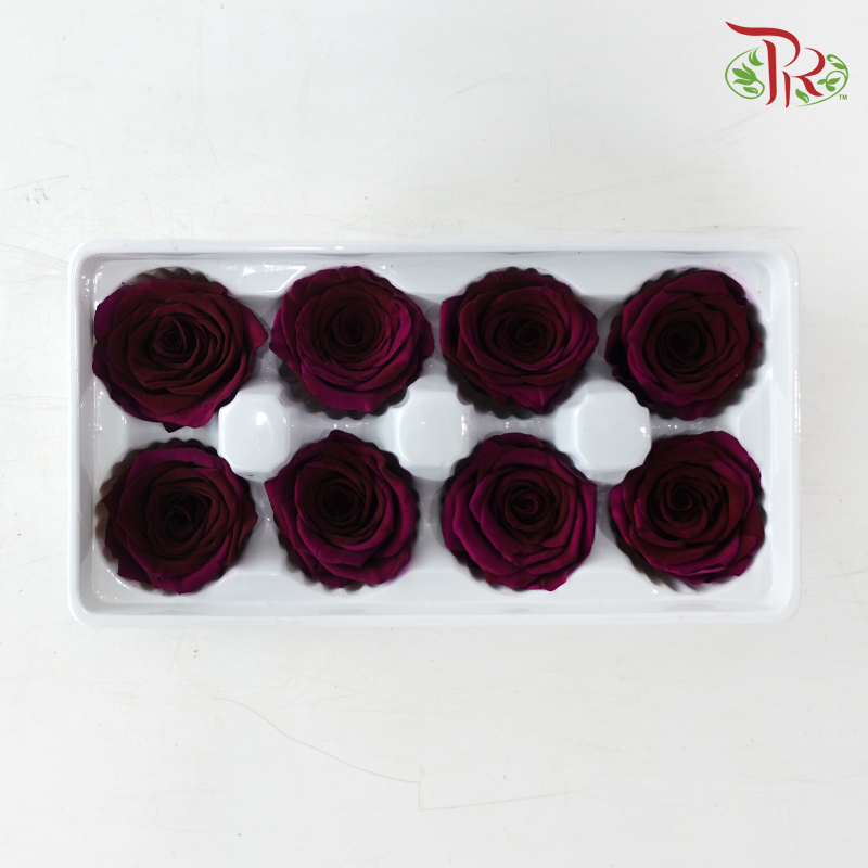 8 Blooms Preserved Roses - Plum