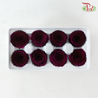 8 Blooms Preserved Roses - Plum