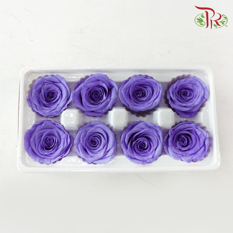 8 Blooms Preserved Roses - Purple