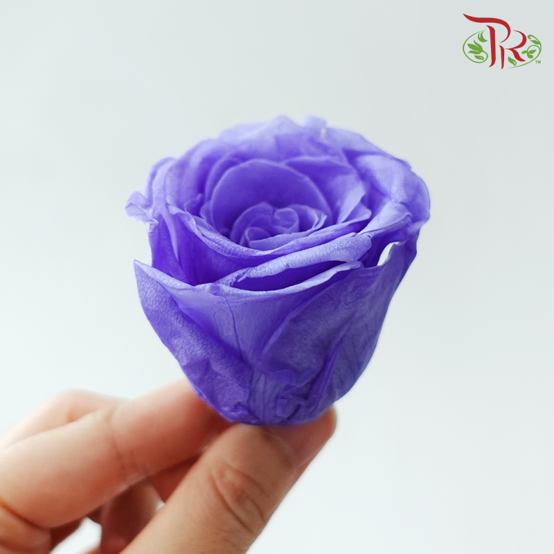 8 Blooms Preserved Roses - Purple
