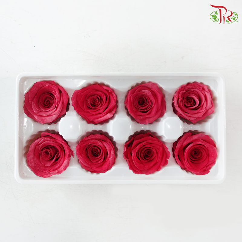 8 Blooms Preserved Roses - Dark Cherry Pink