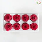 8 Blooms Preserved Roses - Dark Cherry Pink