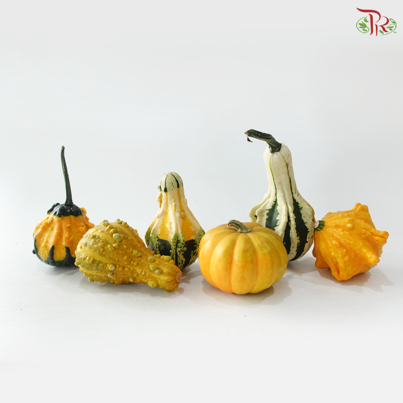 Halloween Pumpkin (Per Unit)