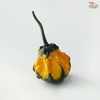 Halloween Pumpkin (Per Unit)