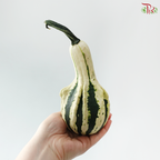 Halloween Pumpkin (Per Unit)