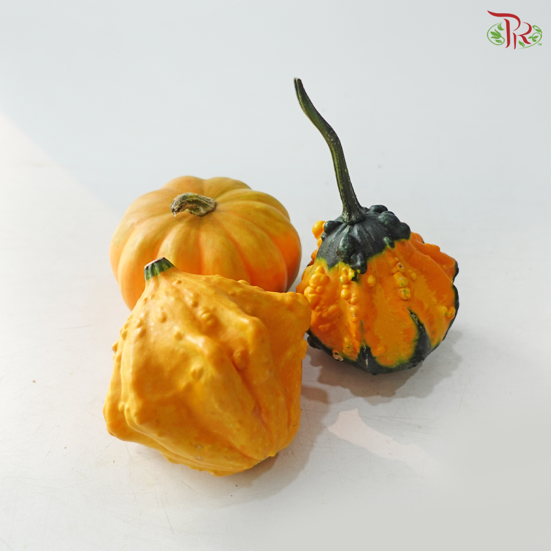 Halloween Pumpkin (Per Unit)