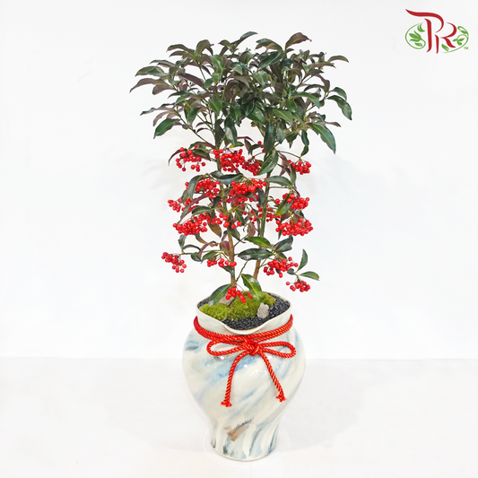 【CNY 2026】A House Full of Good Fortune《满堂红运》