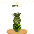 【RAYA 2026】Bamboo Makmur Raya (S)