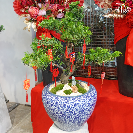 Podocarpus Arrangement Med in HY400B Pot (With The Sitting Guan Yin Miniature) (Random Choose Plant Shape, Design & CNY Ornaments)