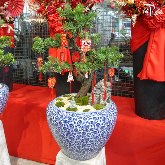 Podocarpus Arrangement Med in HY400B Pot (Random Choose Plant Shape, Design & CNY Ornaments)