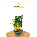【RAYA 2026】 Graceful Bamboo (M)
