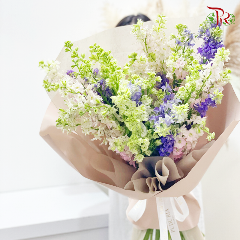 Wrapping Bouquet- Larkspur In Assorted Colours (L size)