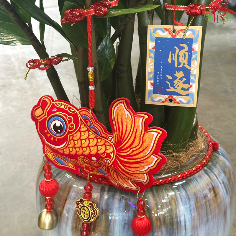 【CNY 2026】Fortune and Abundance 《招财进宝》(Zamia Plant)