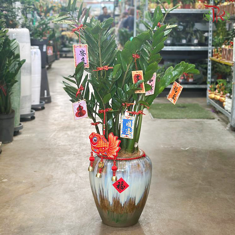 【CNY 2026】Fortune and Abundance 《招财进宝》(Zamia Plant)