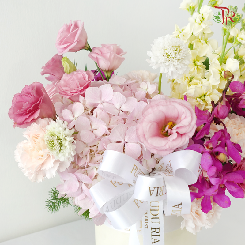 【RAYA 2026】Seri Harmoni Raya (S Size)