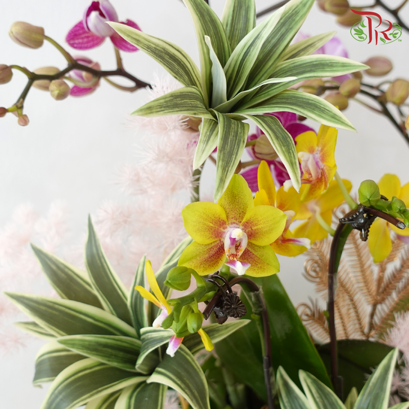 【RAYA 2026】Raya Abundance