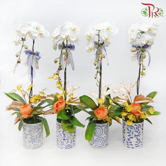【Gift Series】Pure Orchid Splendor