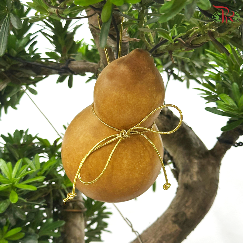 【CNY 2026】Auspicious Star Podocarpus《齐天星瑞罗汉松》