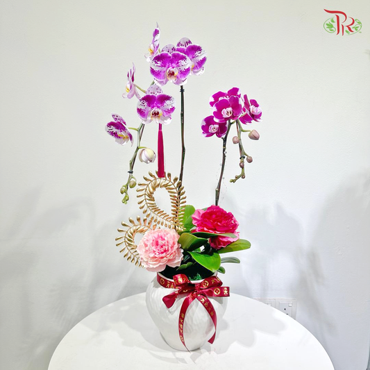 【CNY 2026】Spring Everywhere 《春满人间》(Random Choose Orchid Color)