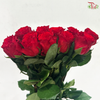 Rose -  Red Heart Merla / Red Cherish 珍爱 (10 Stems)