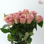 Rose (50cm) - Pillow Talk (10 Stems)