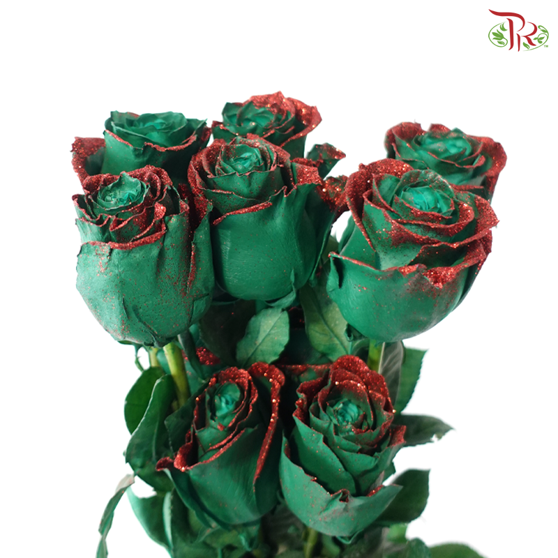 Star Rose - Scarlet Snow (10 Stems)