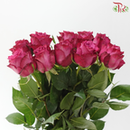 Rose (50cm) - Blueberry (10 Stems)