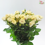 Rose Spray - Light Yellow With Red Heart (Per Bunch)