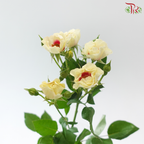 Rose Spray - Light Yellow With Red Heart (Per Bunch)