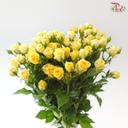 Rose Spray - Baby Princess (Per Bunch)