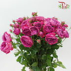 Rose Spray Butterfly - Mulberry Purple (Per Bunch)