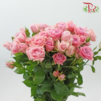Rose Spray - Sweetheart (Per Bunch)