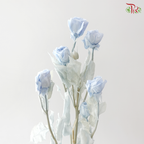 Preservative Rose Spray Bleached - Snow Blue
