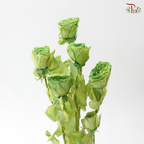 Preservative Rose Spray Bleached - Green