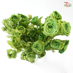 Preservative Rose Spray Bleached - Green