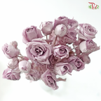 Preservative Rose Spray Bleached - Light Purple