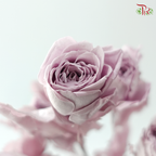 Preservative Rose Spray Bleached - Light Purple