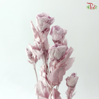Preservative Rose Spray Bleached - Light Purple