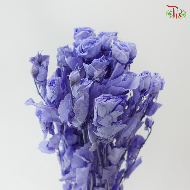Preservative Rose Spray Bleached - Purple