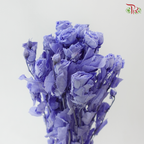 Preservative Rose Spray Bleached - Purple