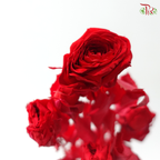 Preservative Rose Spray Bleached - Red