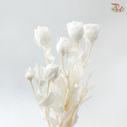 Preservative Rose Spray Bleached - White